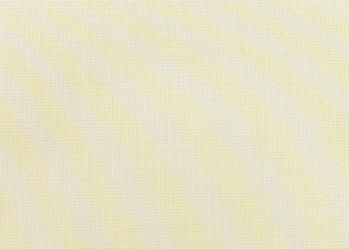 Canvas-Birds-Eye_5472-0000 Grade A Fabric Manufacturers